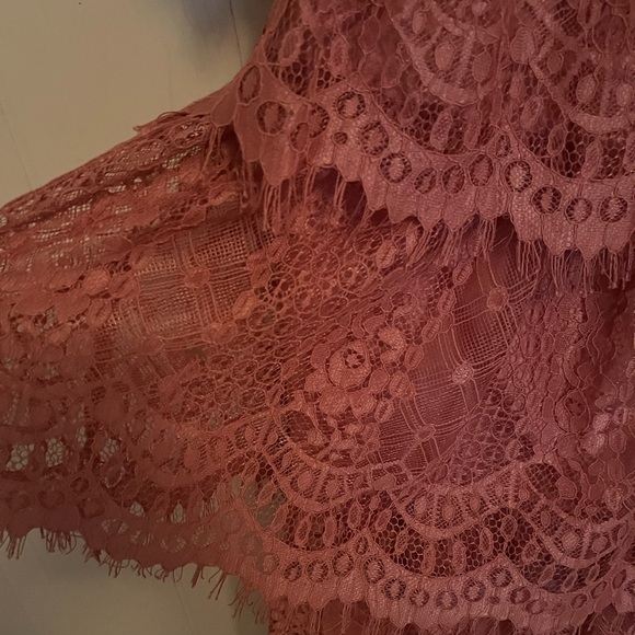 Anthropologie Champagne & Strawberries Lace Corset Vintage style Dress - Picture 7 of 9